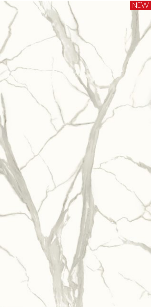 2_PARAPODAL BODY ROCK SLAB SERIES_SUPER SNOW WHITE