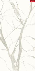2_PARAPODAL BODY ROCK SLAB SERIES_SUPER SNOW WHITE