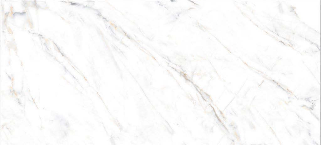 2_SMALL AND MEDIUM-SIZED SERIES_GOULD WHITE