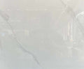 55A31_preview