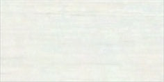 6_T1-36P1008