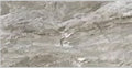 6_T2-36P1003