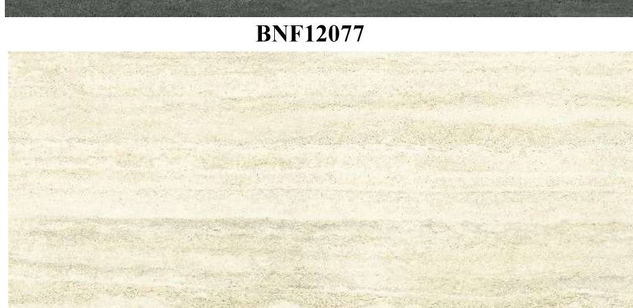 BN12077_preview