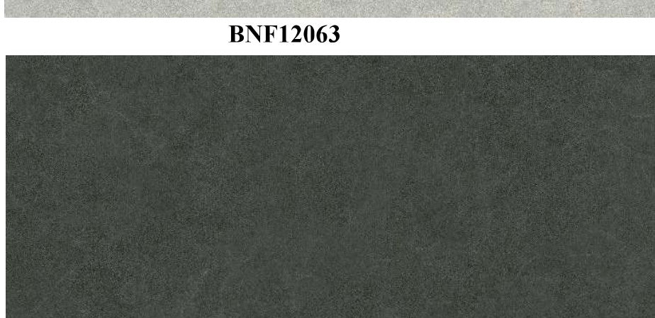 BNF12063_01
