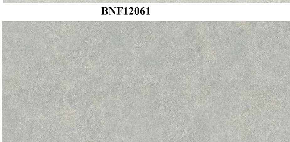 BNF12063_preview