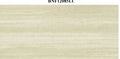 BNF12086LC_preview