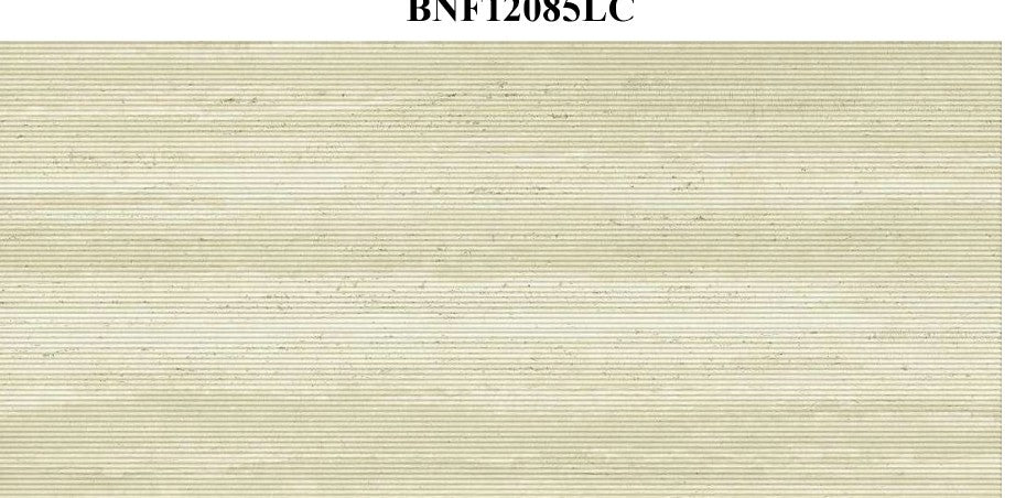 BNF12086LC_preview