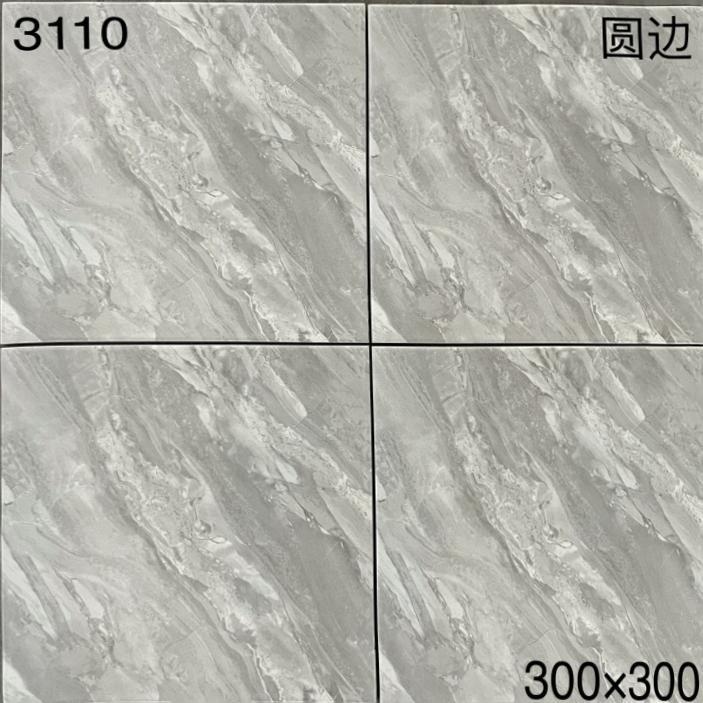 CT2_3110