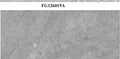 FG126016A_preview