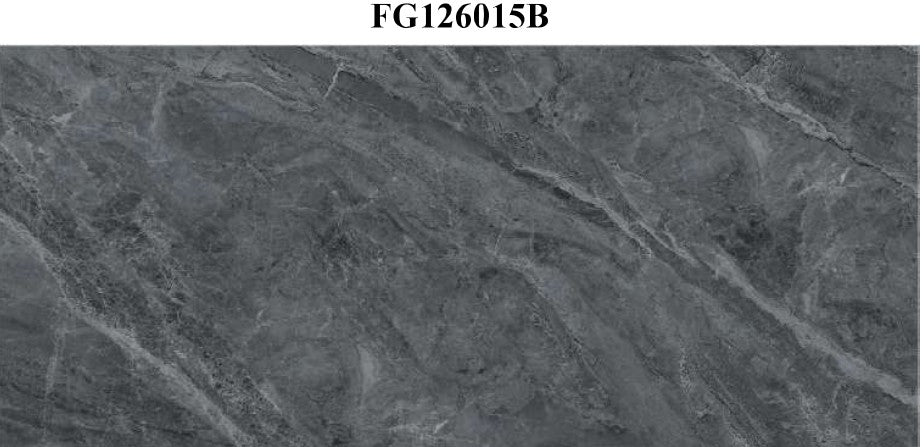 FG12613P_01