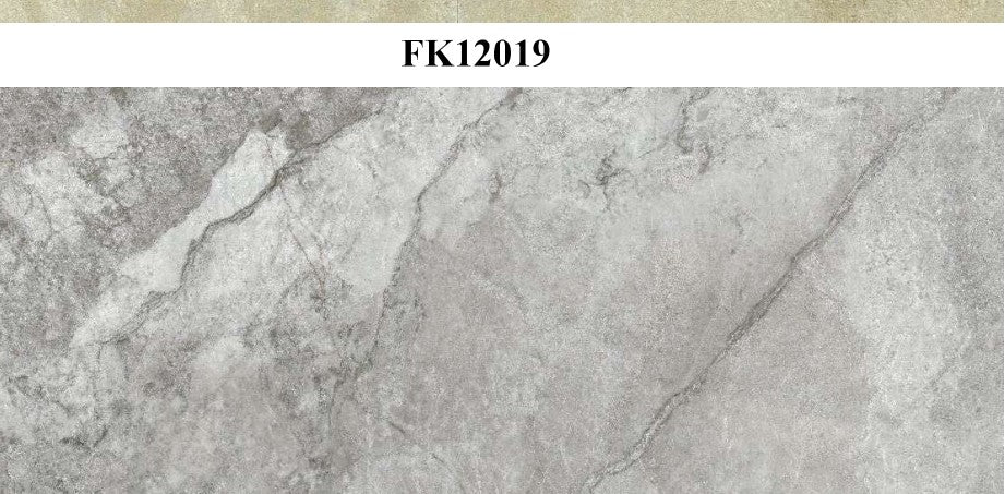 FK2019_preview