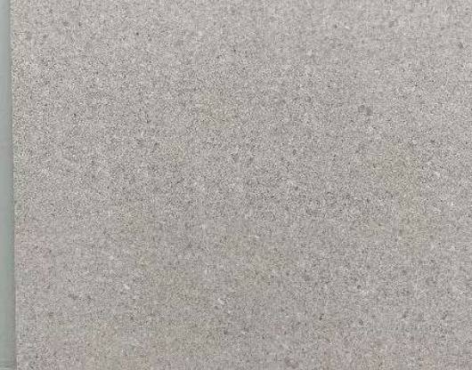 GFL66133