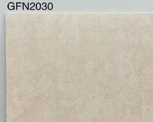 GFN2030