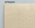 GFN2031