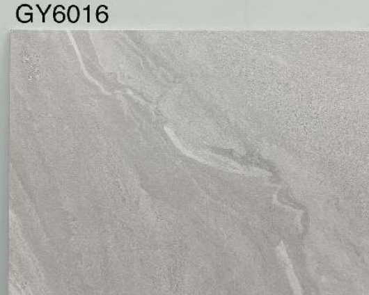 GY6016