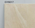 GY6017