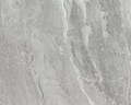 GY6019