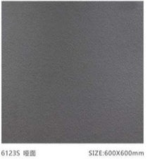 Galaxy Stone C 銀河石C 600x600mm_6123S 啞面