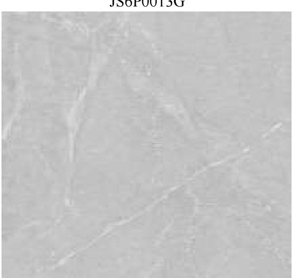 JS6P014_preview