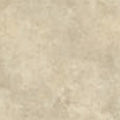 K00806217TARR10