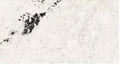 K01388940YSM