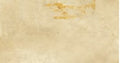 K01898063DAM