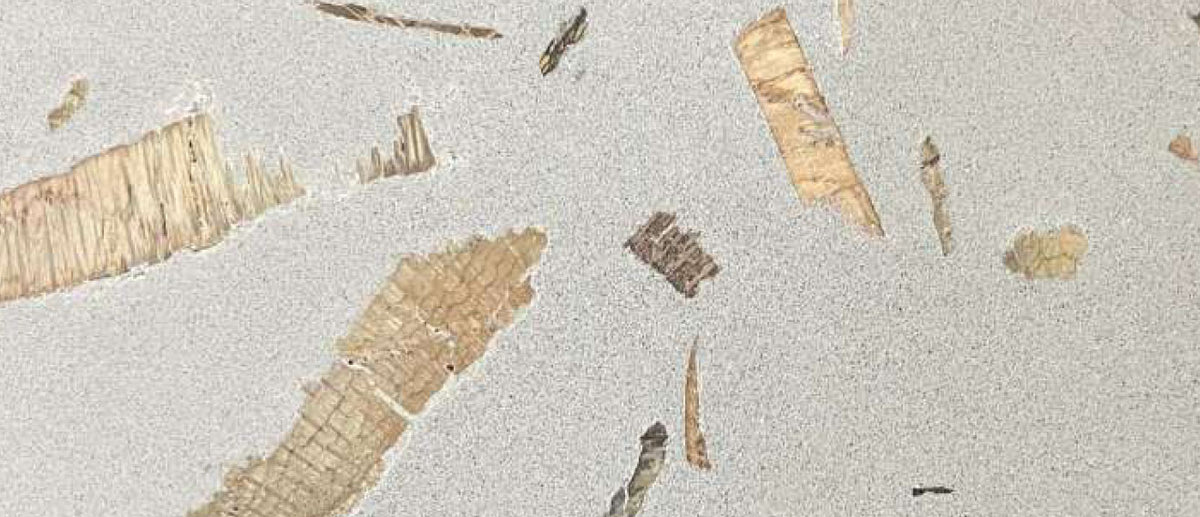 MC_B1102E1