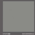 Pure Color Stone 純色磚 600x600mm_6701P 亮面
