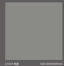Pure Color Stone 純色磚 600x600mm_6701P 亮面