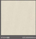 Pure Color Stone 純色磚 600x600mm_6702H 啞面