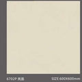 Pure Color Stone 純色磚 600x600mm_6702P 亮面