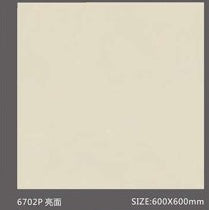 Pure Color Stone 純色磚 600x600mm_6702P 亮面