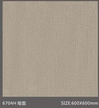 Pure Color Stone 純色磚 600x600mm_6704H 啞面