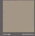 Pure Color Stone 純色磚 600x600mm_6704P 亮面