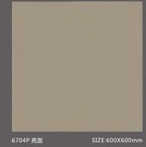 Pure Color Stone 純色磚 600x600mm_6704P 亮面