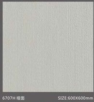 Pure Color Stone 純色磚 600x600mm_6707H 啞面