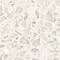 Rovastone_M2(L1)54962