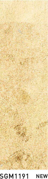 SGM1191