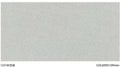 Sloar Stone 600x600mm_1231M 啞面