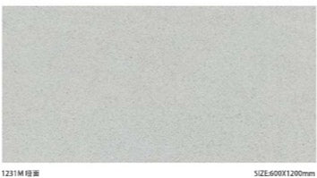 Sloar Stone 600x600mm_1231M 啞面