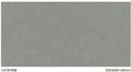 Sloar Stone 600x600mm_1251M 啞面