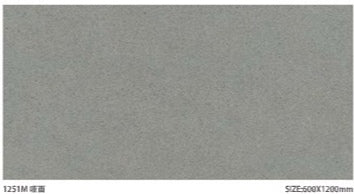 Sloar Stone 600x600mm_1251M 啞面