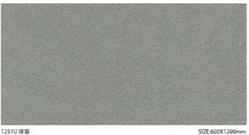 Sloar Stone 600x600mm_1251U 啞面