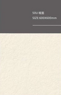 Sloar Stone 600x600mm_50U 啞面
