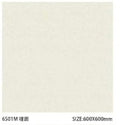 Sloar Stone 600x600mm_6501M 啞面