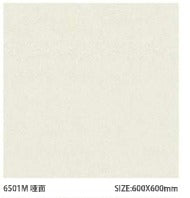 Sloar Stone 600x600mm_6501M 啞面