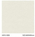 Sloar Stone 600x600mm_6501U 啞面
