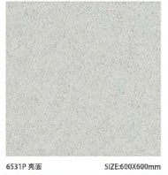 Sloar Stone 600x600mm_6531P 亮面