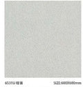 Sloar Stone 600x600mm_6531U 啞面