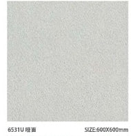 Sloar Stone 600x600mm_6531U 啞面